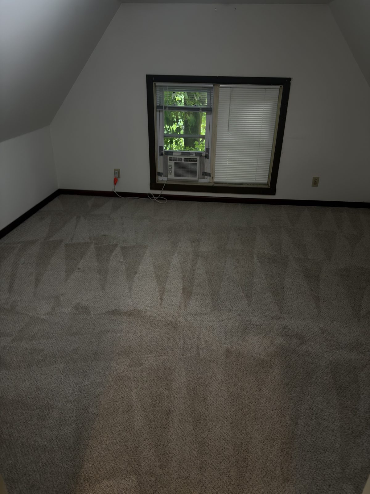 Carpet after professional extraction cleaning